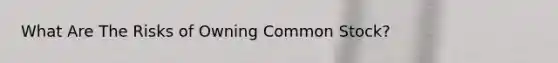 What Are The Risks of Owning Common Stock?
