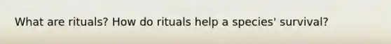 What are rituals? How do rituals help a species' survival?