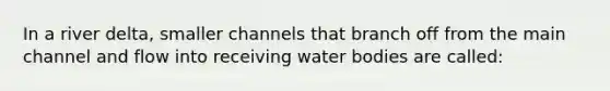 In a river delta, smaller channels that branch off from the main channel and flow into receiving water bodies are called: