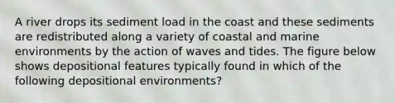 A river drops its sediment load in the coast and these sediments are redistributed along a variety of coastal and marine environments by the action of waves and tides. The figure below shows depositional features typically found in which of the following depositional environments?