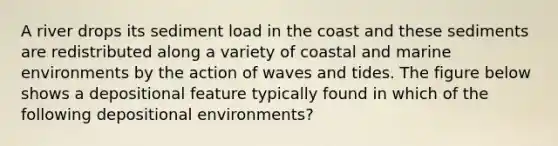 A river drops its sediment load in the coast and these sediments are redistributed along a variety of coastal and marine environments by the action of waves and tides. The figure below shows a depositional feature typically found in which of the following depositional environments?