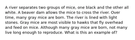 A river separates two groups of mice, one black and the other all white. A beaver dam allows the mice to cross the river. Over time, many gray mice are born. The river is lined with light stones. Gray mice are most visible to hawks that fly overhead and feed on mice. Although many gray mice are born, not many live long enough to reproduce. What is this an example of?