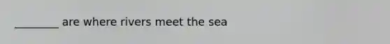 ________ are where rivers meet the sea