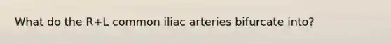 What do the R+L common iliac arteries bifurcate into?