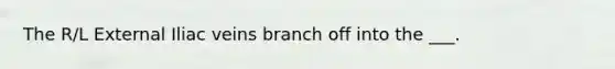 The R/L External Iliac veins branch off into the ___.