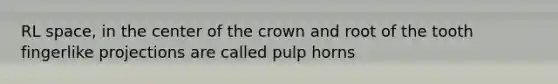 RL space, in the center of the crown and root of the tooth fingerlike projections are called pulp horns