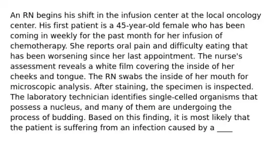 An RN begins his shift in the infusion center at the local oncology center. His first patient is a 45-year-old female who has been coming in weekly for the past month for her infusion of chemotherapy. She reports oral pain and difficulty eating that has been worsening since her last appointment. The nurse's assessment reveals a white film covering the inside of her cheeks and tongue. The RN swabs the inside of her mouth for microscopic analysis. After staining, the specimen is inspected. The laboratory technician identifies single-celled organisms that possess a nucleus, and many of them are undergoing the process of budding. Based on this finding, it is most likely that the patient is suffering from an infection caused by a ____