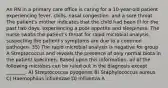 An RN in a primary care office is caring for a 10-year-old patient experiencing fever, chills, nasal congestion, and a sore throat. The patient's mother indicates that the child had been ill for the past two days, experiencing a poor appetite and sleepiness. The nurse swabs the patient's throat for rapid microbial analysis, suspecting the patient's symptoms are due to a common pathogen. 35) The rapid microbial analysis is negative for group A Streptococcus and reveals the presence of only normal biota in the patient specimen. Based upon this information, all of the following microbes can be ruled out in the diagnosis except ________. A) Streptococcus pyogenes B) Staphylococcus aureus C) Haemophilus influenzae D) Influenza A