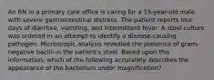 An RN in a primary care office is caring for a 15-year-old male with severe gastrointestinal distress. The patient reports four days of diarrhea, vomiting, and intermittent fever. A stool culture was ordered in an attempt to identify a disease-causing pathogen. Microscopic analysis revealed the presence of gram-negative bacilli in the patient's stool. Based upon this information, which of the following accurately describes the appearance of the bacterium under magnification?