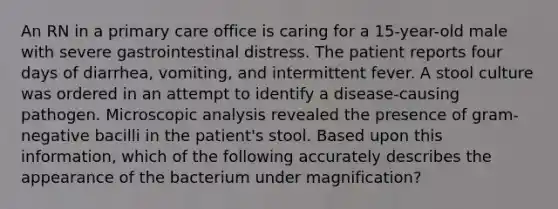 An RN in a primary care office is caring for a 15-year-old male with severe gastrointestinal distress. The patient reports four days of diarrhea, vomiting, and intermittent fever. A stool culture was ordered in an attempt to identify a disease-causing pathogen. Microscopic analysis revealed the presence of gram-negative bacilli in the patient's stool. Based upon this information, which of the following accurately describes the appearance of the bacterium under magnification?