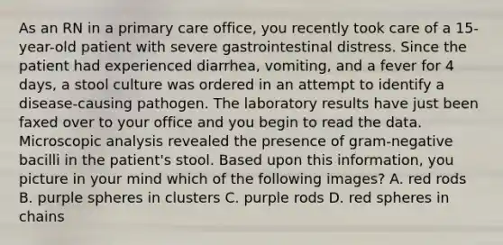 As an RN in a primary care office, you recently took care of a 15-year-old patient with severe gastrointestinal distress. Since the patient had experienced diarrhea, vomiting, and a fever for 4 days, a stool culture was ordered in an attempt to identify a disease-causing pathogen. The laboratory results have just been faxed over to your office and you begin to read the data. Microscopic analysis revealed the presence of gram-negative bacilli in the patient's stool. Based upon this information, you picture in your mind which of the following images? A. red rods B. purple spheres in clusters C. purple rods D. red spheres in chains