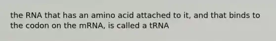 the RNA that has an amino acid attached to it, and that binds to the codon on the mRNA, is called a tRNA