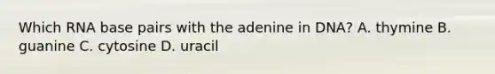 Which RNA base pairs with the adenine in DNA? A. thymine B. guanine C. cytosine D. uracil