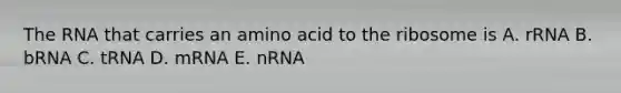 The RNA that carries an amino acid to the ribosome is A. rRNA B. bRNA C. tRNA D. mRNA E. nRNA