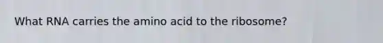 What RNA carries the amino acid to the ribosome?