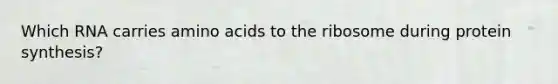 Which RNA carries amino acids to the ribosome during protein synthesis?