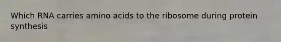 Which RNA carries amino acids to the ribosome during protein synthesis