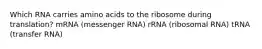 Which RNA carries amino acids to the ribosome during translation? mRNA (messenger RNA) rRNA (ribosomal RNA) tRNA (transfer RNA)