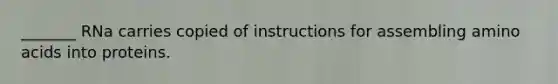 _______ RNa carries copied of instructions for assembling amino acids into proteins.