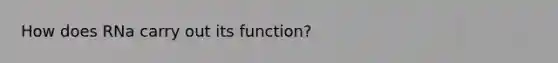 How does RNa carry out its function?