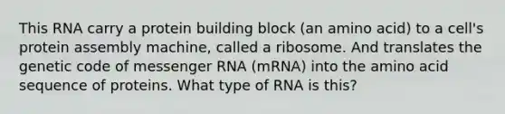 This RNA carry a protein building block (an amino acid) to a cell's protein assembly machine, called a ribosome. And translates the genetic code of messenger RNA (mRNA) into the amino acid sequence of proteins. What type of RNA is this?