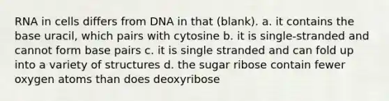 RNA in cells differs from DNA in that (blank). a. it contains the base uracil, which pairs with cytosine b. it is single-stranded and cannot form base pairs c. it is single stranded and can fold up into a variety of structures d. the sugar ribose contain fewer oxygen atoms than does deoxyribose