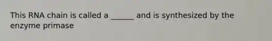 This RNA chain is called a ______ and is synthesized by the enzyme primase