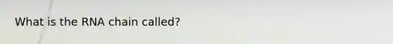 What is the RNA chain called?