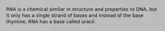 RNA is a chemical similar in structure and properties to DNA, but it only has a single strand of bases and instead of the base thymine, RNA has a base called uracil.