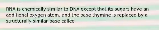 RNA is chemically similar to DNA except that its sugars have an additional oxygen atom, and the base thymine is replaced by a structurally similar base called