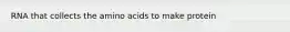 RNA that collects the amino acids to make protein