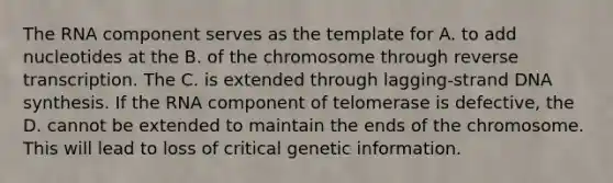 The RNA component serves as the template for A. to add nucleotides at the B. of the chromosome through <a href='https://www.questionai.com/knowledge/kNiXy9k6SK-reverse-transcription' class='anchor-knowledge'>reverse transcription</a>. The C. is extended through lagging-strand DNA synthesis. If the RNA component of telomerase is defective, the D. cannot be extended to maintain the ends of the chromosome. This will lead to loss of critical genetic information.