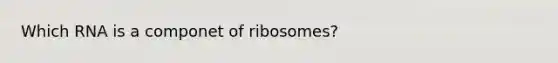 Which RNA is a componet of ribosomes?