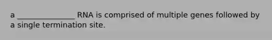a _______________ RNA is comprised of multiple genes followed by a single termination site.
