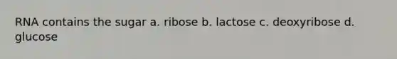 RNA contains the sugar a. ribose b. lactose c. deoxyribose d. glucose