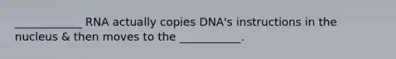 ____________ RNA actually copies DNA's instructions in the nucleus & then moves to the ___________.