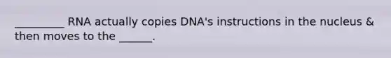 _________ RNA actually copies DNA's instructions in the nucleus & then moves to the ______.