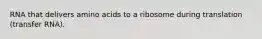 RNA that delivers amino acids to a ribosome during translation (transfer RNA).