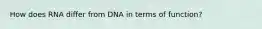 How does RNA differ from DNA in terms of function?