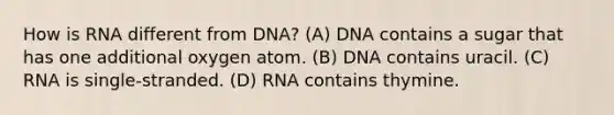 How is RNA different from DNA? (A) DNA contains a sugar that has one additional oxygen atom. (B) DNA contains uracil. (C) RNA is single-stranded. (D) RNA contains thymine.