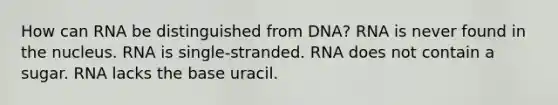 How can RNA be distinguished from DNA? RNA is never found in the nucleus. RNA is single-stranded. RNA does not contain a sugar. RNA lacks the base uracil.