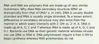 RNA and DNA are polymers that are made up of very similar monomers. Why does RNA secondary structure differ so dramatically from that of DNA? a. In cells, DNA is usually double stranded and RNA is usually single stranded. To a lesser extent, differences in secondary structure may also arise from the manner in which water interacts with 2'-OH vs. 2'-H. b. DNA is made up of A, G, C and T whereas RNA is made up of A, G, C and U c. Bacteria use DNA as their genetic material whereas viruses can use DNA or RNA d. DNA polymerases require a free 3-OH to begin synthesis whereas RNA polymerases do not