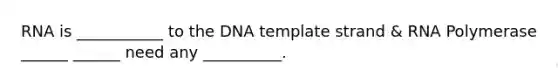 RNA is ___________ to the DNA template strand & RNA Polymerase ______ ______ need any __________.