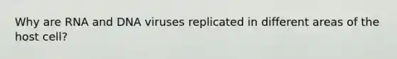 Why are RNA and DNA viruses replicated in different areas of the host cell?