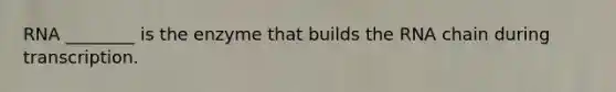 RNA ________ is the enzyme that builds the RNA chain during transcription.