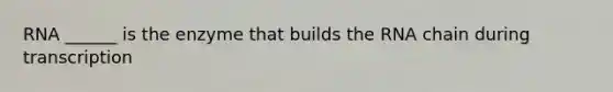RNA ______ is the enzyme that builds the RNA chain during transcription