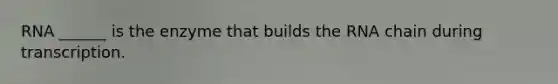 RNA ______ is the enzyme that builds the RNA chain during transcription.