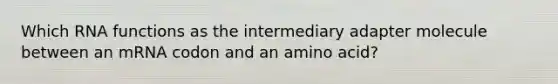 Which RNA functions as the intermediary adapter molecule between an mRNA codon and an amino acid?