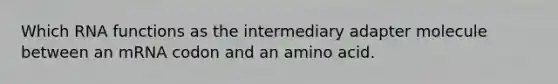 Which RNA functions as the intermediary adapter molecule between an mRNA codon and an amino acid.