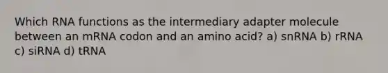 Which <a href='https://www.questionai.com/knowledge/kV9H8Lkcao-rna-functions' class='anchor-knowledge'>rna functions</a> as the intermediary adapter molecule between an mRNA codon and an amino acid? a) snRNA b) rRNA c) siRNA d) tRNA